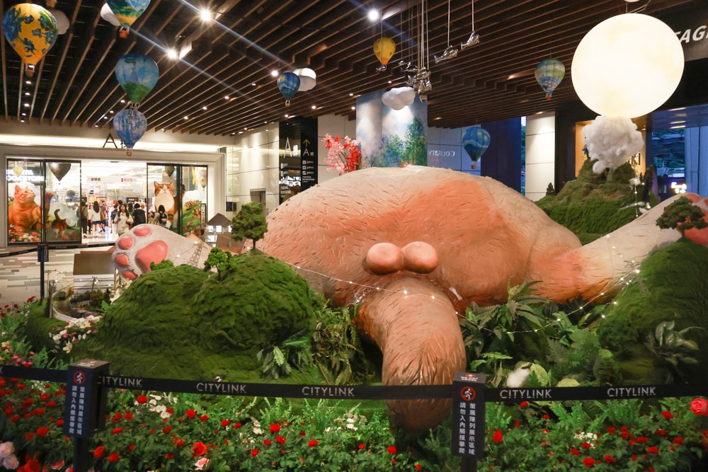 台北六福萬怡酒店｜台北寵物友善飯店、寵物房開箱、帶毛孩入住五星飯店、五星級萬豪飯店體系