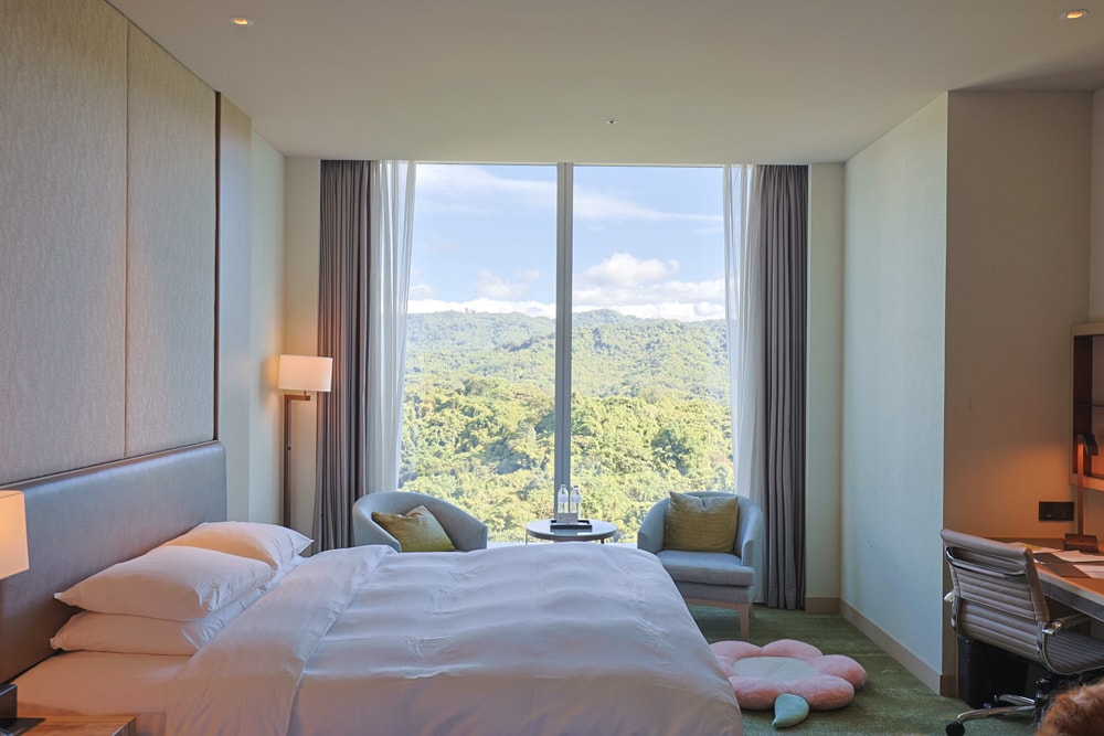 台北六福萬怡酒店｜台北寵物友善飯店、寵物房開箱、帶毛孩入住五星飯店、五星級萬豪飯店體系