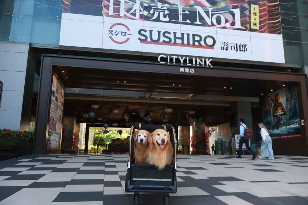 台北六福萬怡酒店｜台北寵物友善飯店、寵物房開箱、帶毛孩入住五星飯店、五星級萬豪飯店體系