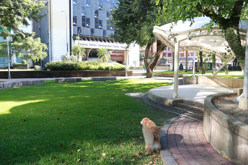 台北六福萬怡酒店｜台北寵物友善飯店、寵物房開箱、帶毛孩入住五星飯店、五星級萬豪飯店體系