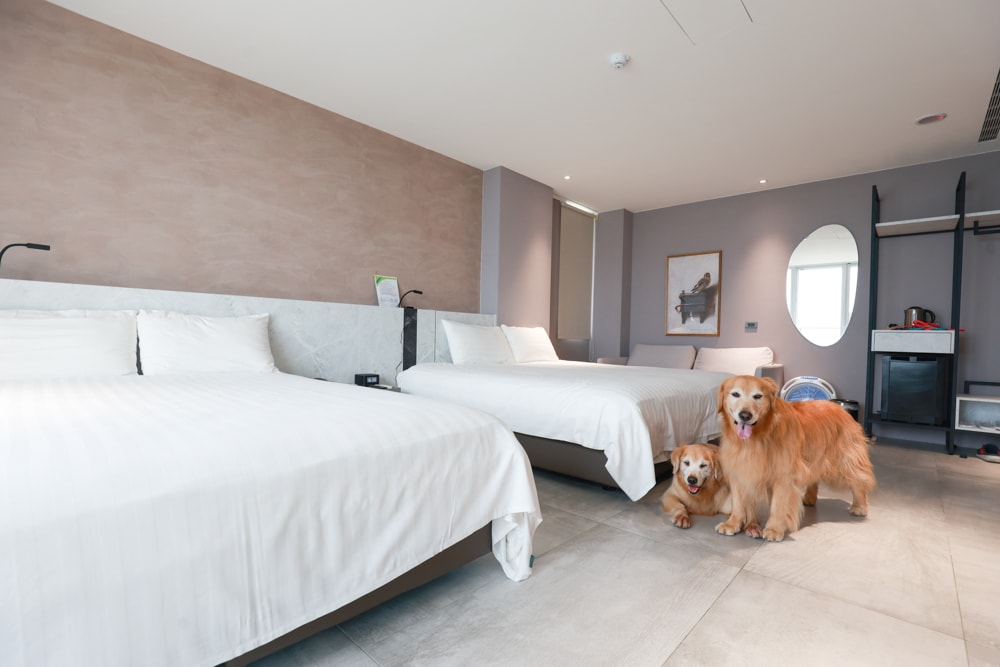 新北石門、北海岸海景住宿推薦｜半島海悅渡假會館：每一間都能帶毛孩入住，超美落地窗海景房必住！寵物友善民宿、北海岸寵物友善住宿