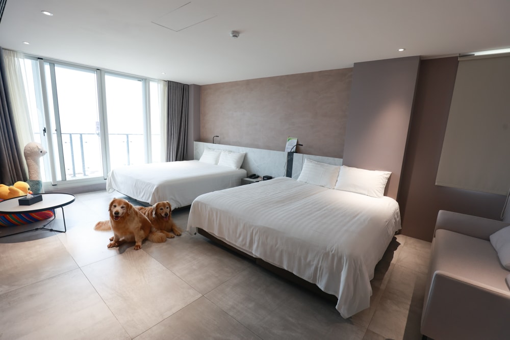 新北石門、北海岸海景住宿推薦｜半島海悅渡假會館：每一間都能帶毛孩入住，超美落地窗海景房必住！寵物友善民宿、北海岸寵物友善住宿