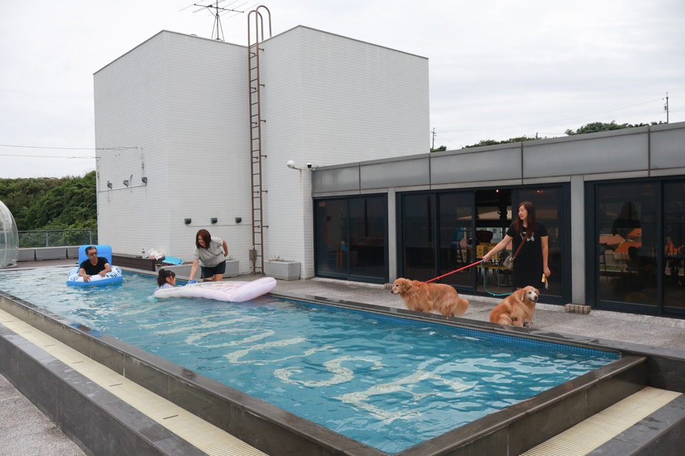 新北石門、北海岸海景住宿推薦｜半島海悅渡假會館：每一間都能帶毛孩入住，超美落地窗海景房必住！寵物友善民宿、北海岸寵物友善住宿