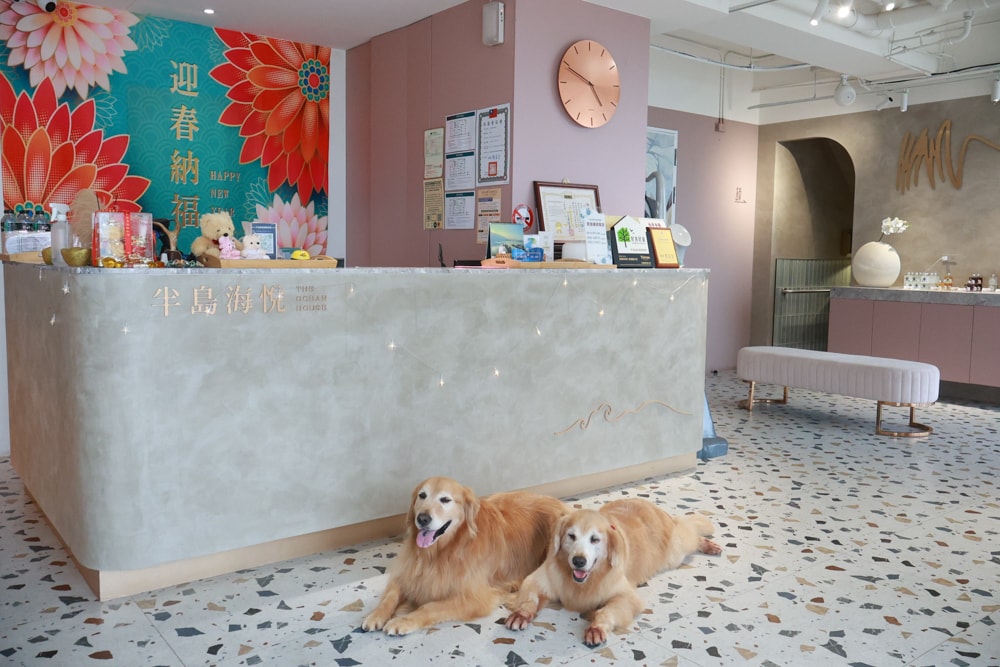 新北石門、北海岸海景住宿推薦｜半島海悅渡假會館：每一間都能帶毛孩入住，超美落地窗海景房必住！寵物友善民宿、北海岸寵物友善住宿