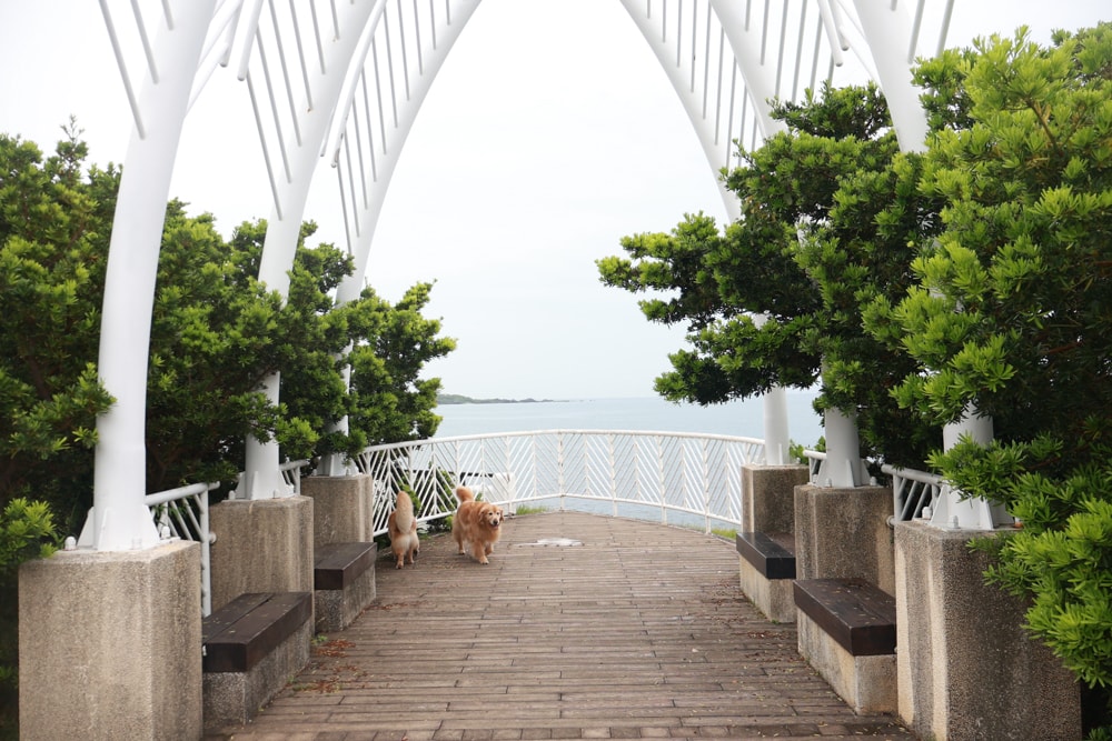 新北石門、北海岸海景住宿推薦｜半島海悅渡假會館：每一間都能帶毛孩入住，超美落地窗海景房必住！寵物友善民宿、北海岸寵物友善住宿