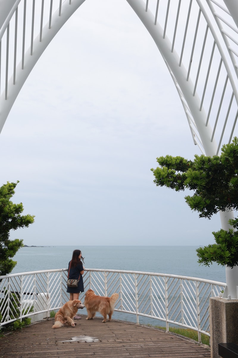 新北石門、北海岸海景住宿推薦｜半島海悅渡假會館：每一間都能帶毛孩入住，超美落地窗海景房必住！寵物友善民宿、北海岸寵物友善住宿