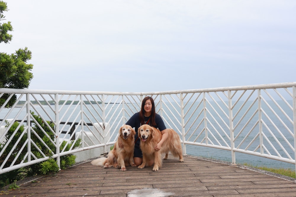 新北石門、北海岸海景住宿推薦｜半島海悅渡假會館：每一間都能帶毛孩入住，超美落地窗海景房必住！寵物友善民宿、北海岸寵物友善住宿