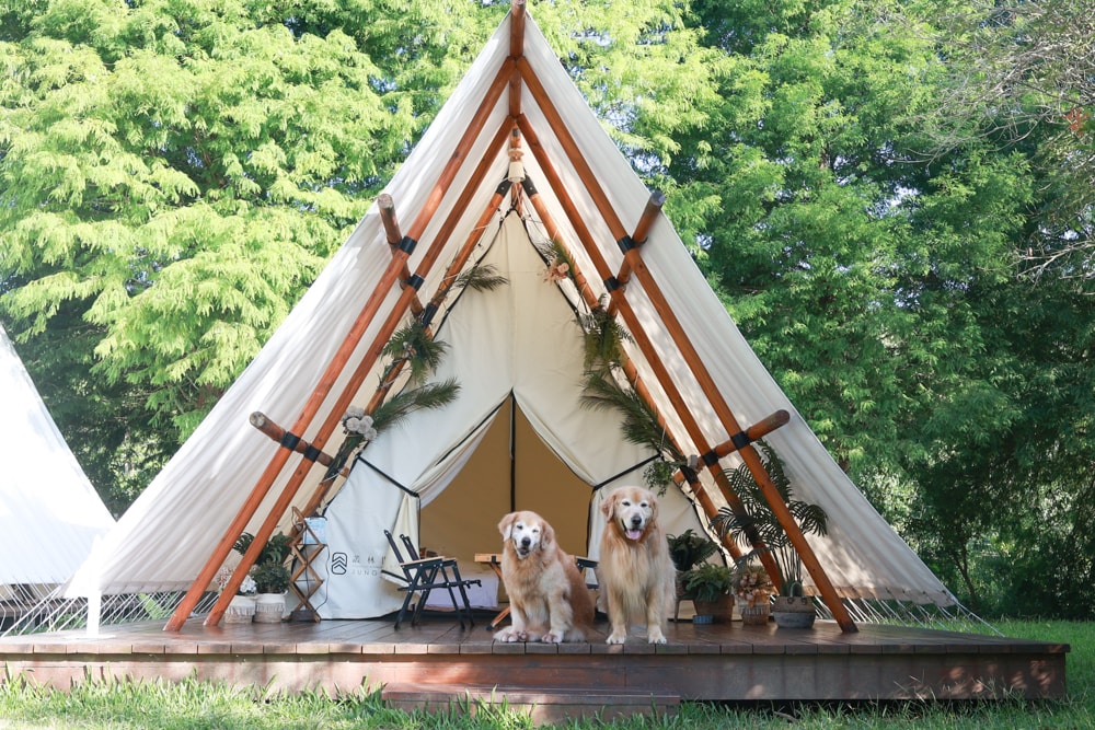 苗栗森林系寵物友善懶人露營|叢林開始Glamping 苗栗店。一泊四食、流體兔DIY、網美帳篷、寵物友善、露天泳池 - 第1張圖 苗栗森林系寵物友善懶人露營|叢林開始Glamping 苗栗店。一泊四食、流體兔DIY、網美帳篷、寵物友善、露天泳池