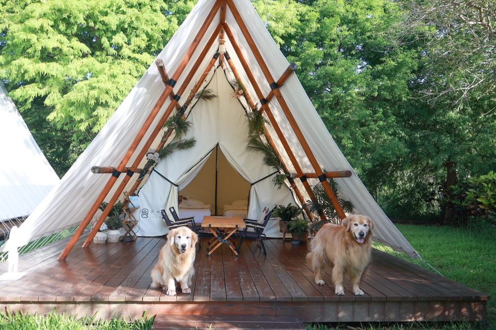 苗栗森林系寵物友善懶人露營|叢林開始Glamping 苗栗店。一泊四食、流體兔DIY、網美帳篷、寵物友善、露天泳池 - 第17張圖 苗栗森林系寵物友善懶人露營|叢林開始Glamping 苗栗店。一泊四食、流體兔DIY、網美帳篷、寵物友善、露天泳池