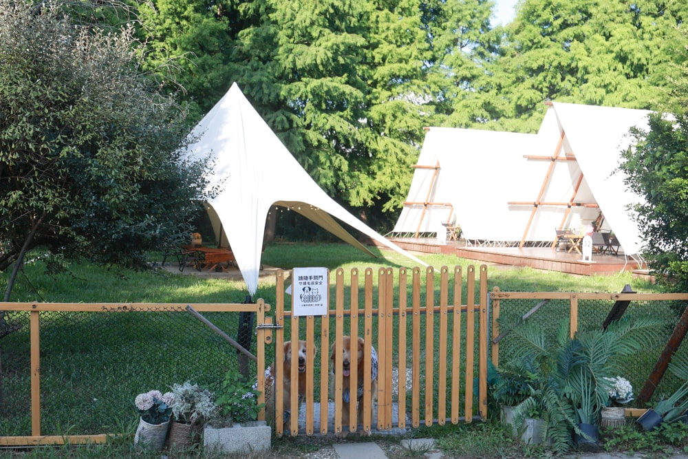 苗栗森林系寵物友善懶人露營|叢林開始Glamping 苗栗店。一泊四食、流體兔DIY、網美帳篷、寵物友善、露天泳池 - 第11張圖 苗栗森林系寵物友善懶人露營|叢林開始Glamping 苗栗店。一泊四食、流體兔DIY、網美帳篷、寵物友善、露天泳池
