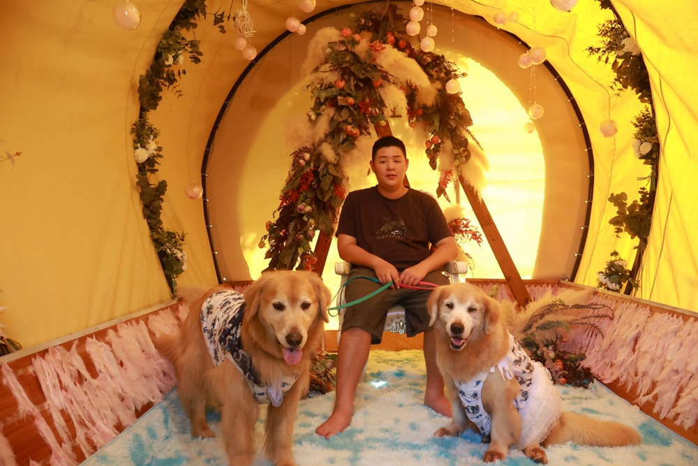 苗栗森林系寵物友善懶人露營｜叢林開始Glamping 苗栗店。一泊四食、流體兔DIY、網美帳篷、寵物友善、露天泳池