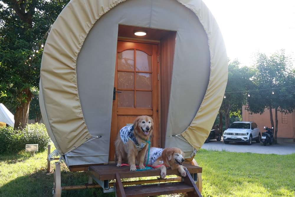 苗栗森林系寵物友善懶人露營|叢林開始Glamping 苗栗店。一泊四食、流體兔DIY、網美帳篷、寵物友善、露天泳池 - 第23張圖 苗栗森林系寵物友善懶人露營|叢林開始Glamping 苗栗店。一泊四食、流體兔DIY、網美帳篷、寵物友善、露天泳池