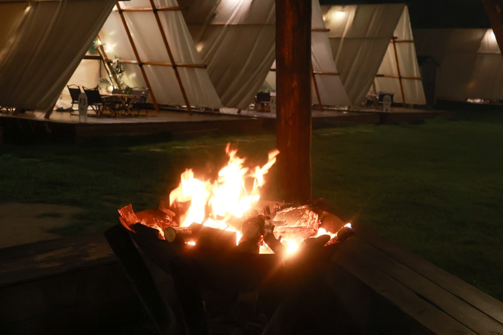 苗栗森林系寵物友善懶人露營|叢林開始Glamping 苗栗店。一泊四食、流體兔DIY、網美帳篷、寵物友善、露天泳池 - 第50張圖 苗栗森林系寵物友善懶人露營|叢林開始Glamping 苗栗店。一泊四食、流體兔DIY、網美帳篷、寵物友善、露天泳池