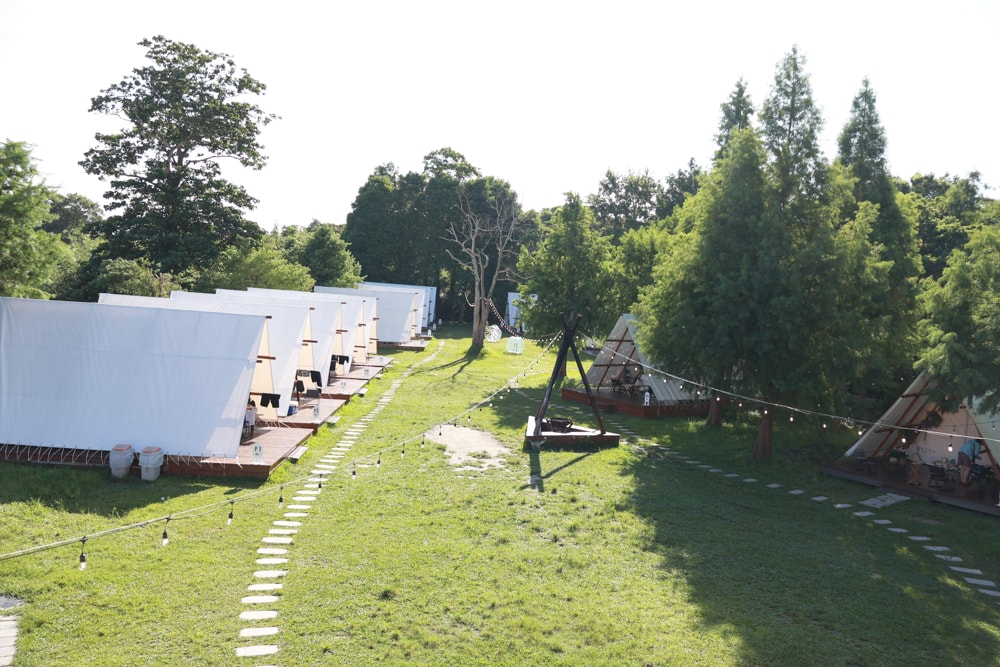 苗栗森林系寵物友善懶人露營|叢林開始Glamping 苗栗店。一泊四食、流體兔DIY、網美帳篷、寵物友善、露天泳池 - 第65張圖 苗栗森林系寵物友善懶人露營|叢林開始Glamping 苗栗店。一泊四食、流體兔DIY、網美帳篷、寵物友善、露天泳池