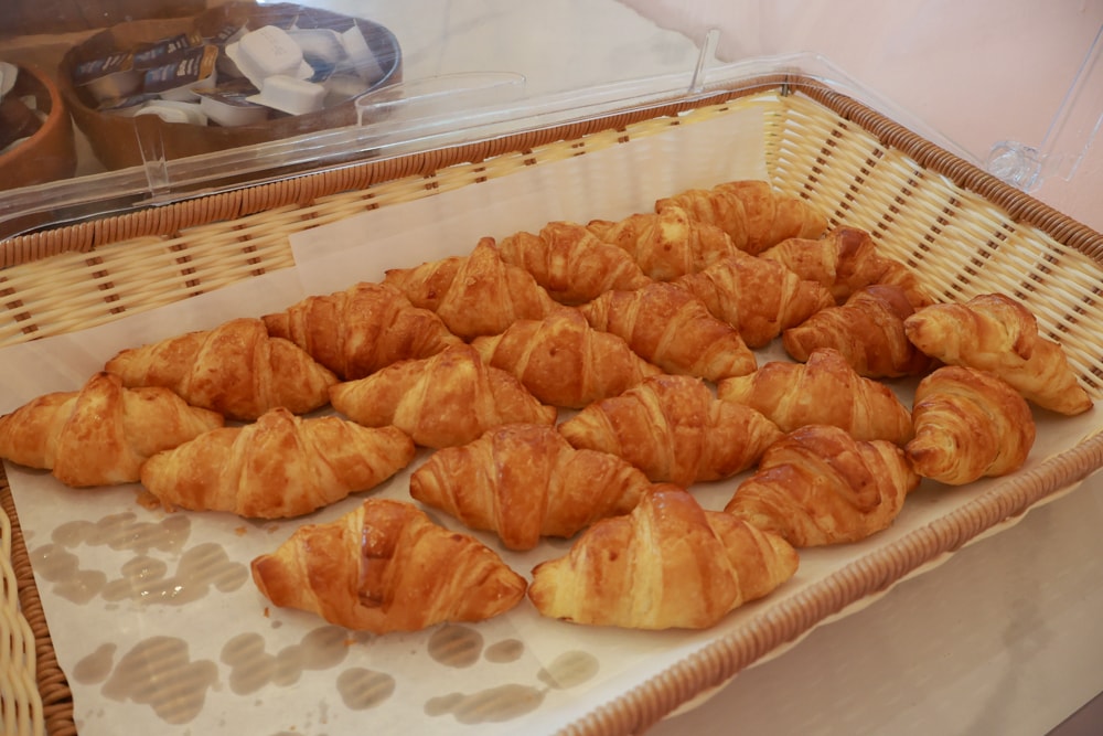 苗栗森林系寵物友善懶人露營|叢林開始Glamping 苗栗店。一泊四食、流體兔DIY、網美帳篷、寵物友善、露天泳池 - 第57張圖 苗栗森林系寵物友善懶人露營|叢林開始Glamping 苗栗店。一泊四食、流體兔DIY、網美帳篷、寵物友善、露天泳池