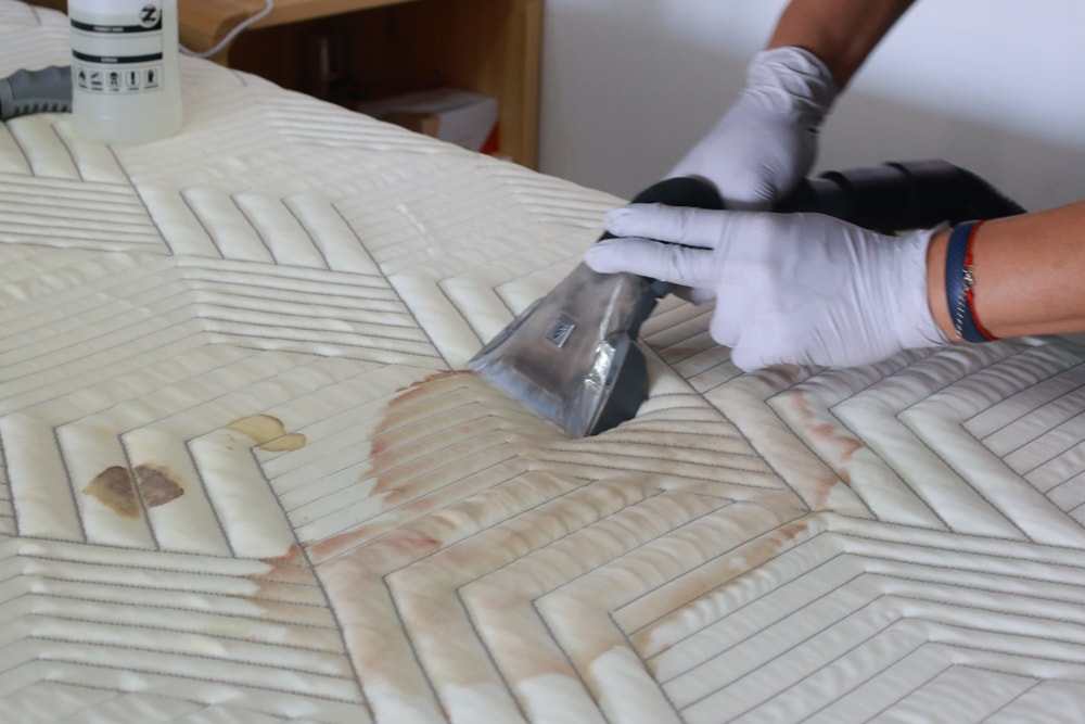 懶人除蟎 沙發・床墊・地毯清洗專家｜孩子過敏、狗狗掉毛，選擇懶人除蟎！床墊沙發地毯全清一次搞定！