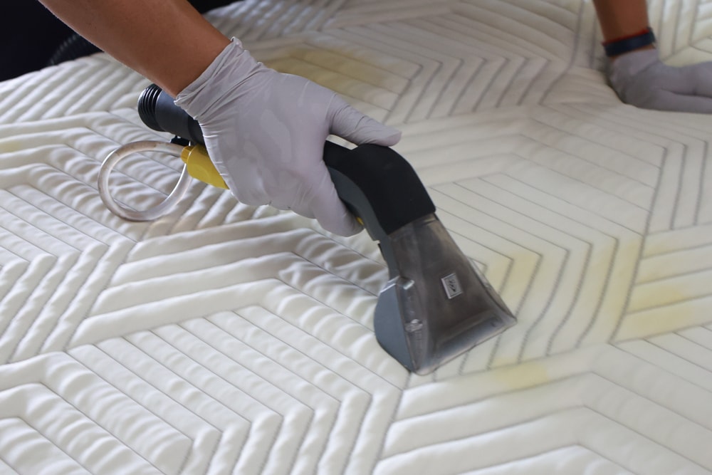 懶人除蟎 沙發・床墊・地毯清洗專家｜孩子過敏、狗狗掉毛，選擇懶人除蟎！床墊沙發地毯全清一次搞定！