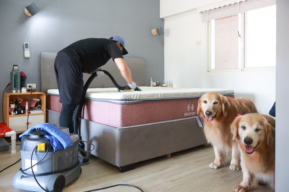 懶人除蟎 沙發・床墊・地毯清洗專家｜孩子過敏、狗狗掉毛，選擇懶人除蟎！床墊沙發地毯全清一次搞定！