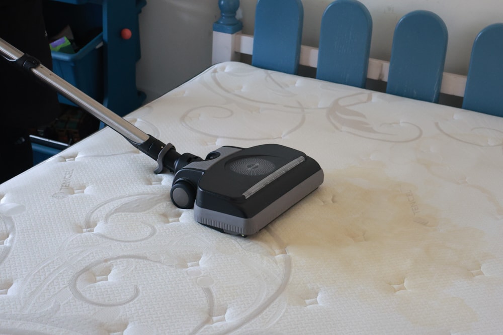 懶人除蟎 沙發・床墊・地毯清洗專家｜孩子過敏、狗狗掉毛，選擇懶人除蟎！床墊沙發地毯全清一次搞定！