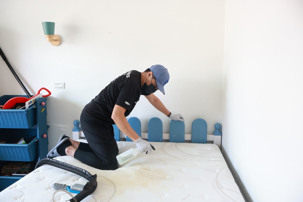 懶人除蟎 沙發・床墊・地毯清洗專家｜孩子過敏、狗狗掉毛，選擇懶人除蟎！床墊沙發地毯全清一次搞定！