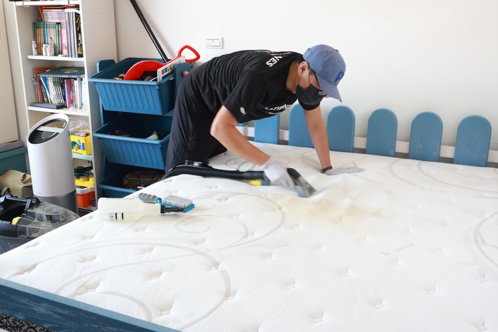 懶人除蟎 沙發・床墊・地毯清洗專家｜孩子過敏、狗狗掉毛，選擇懶人除蟎！床墊沙發地毯全清一次搞定！