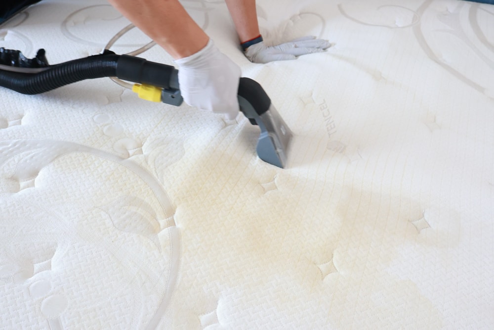 懶人除蟎 沙發・床墊・地毯清洗專家｜孩子過敏、狗狗掉毛，選擇懶人除蟎！床墊沙發地毯全清一次搞定！