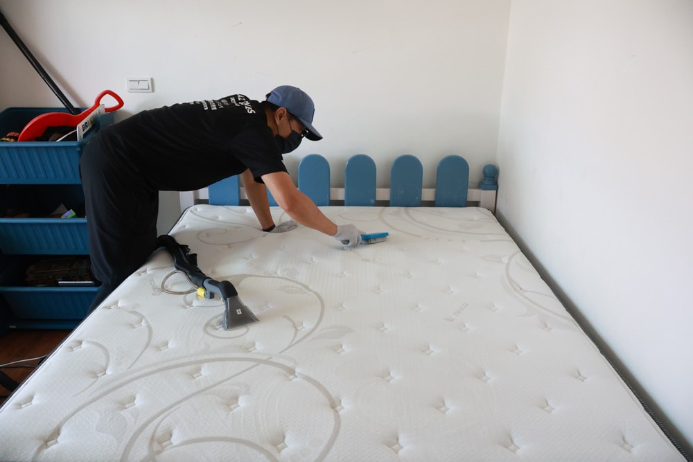 懶人除蟎 沙發・床墊・地毯清洗專家｜孩子過敏、狗狗掉毛，選擇懶人除蟎！床墊沙發地毯全清一次搞定！