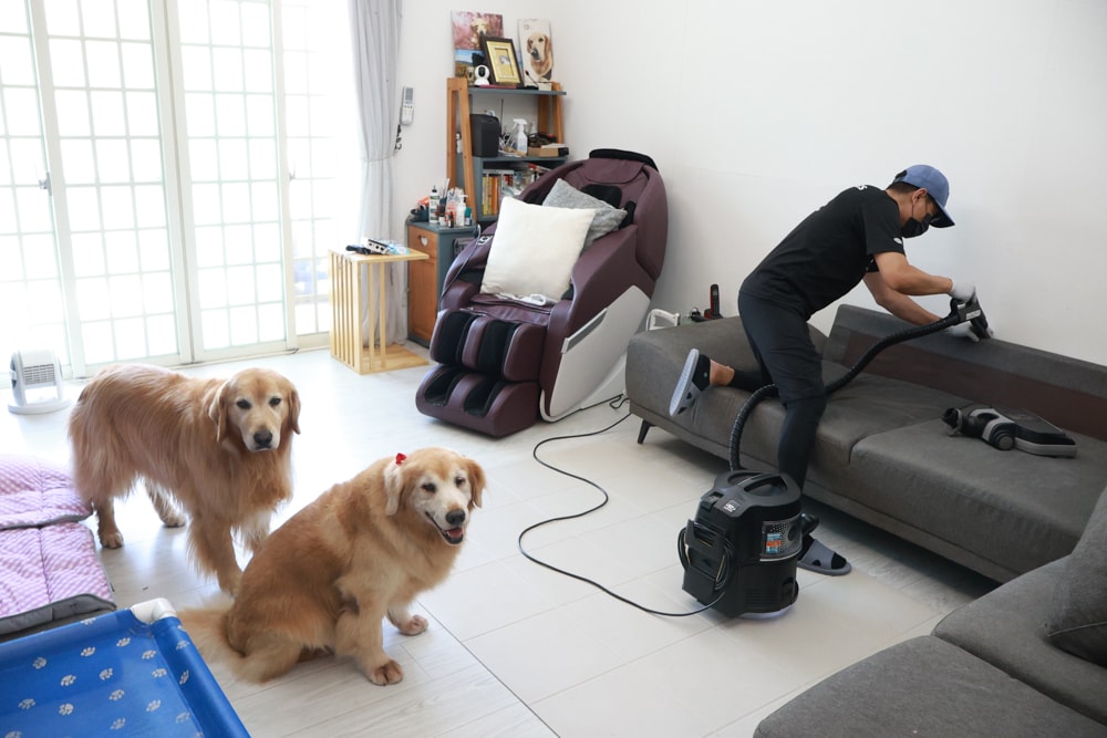 懶人除蟎 沙發・床墊・地毯清洗專家｜孩子過敏、狗狗掉毛，選擇懶人除蟎！床墊沙發地毯全清一次搞定！