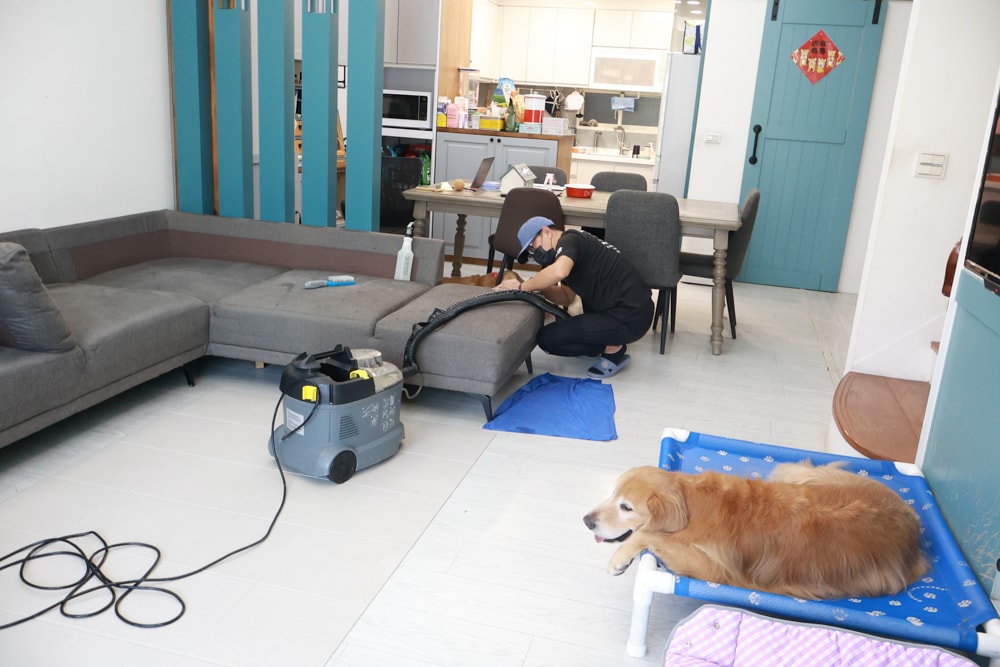 懶人除蟎 沙發・床墊・地毯清洗專家｜孩子過敏、狗狗掉毛，選擇懶人除蟎！床墊沙發地毯全清一次搞定！
