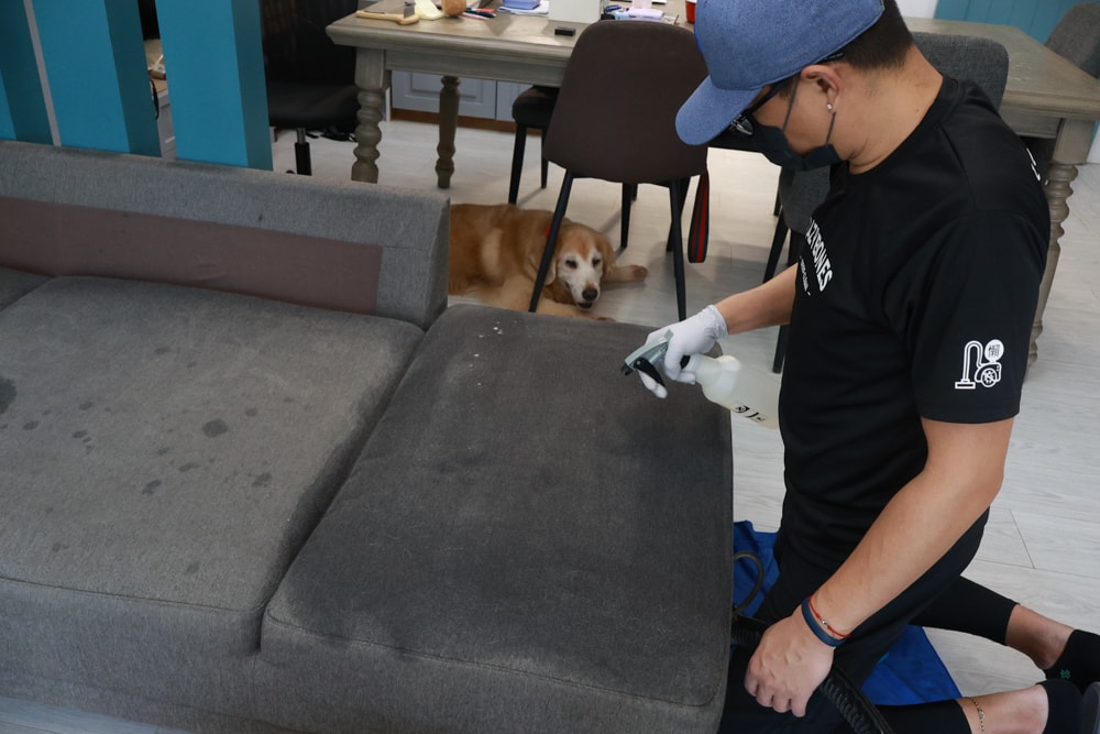 懶人除蟎 沙發・床墊・地毯清洗專家｜孩子過敏、狗狗掉毛，選擇懶人除蟎！床墊沙發地毯全清一次搞定！