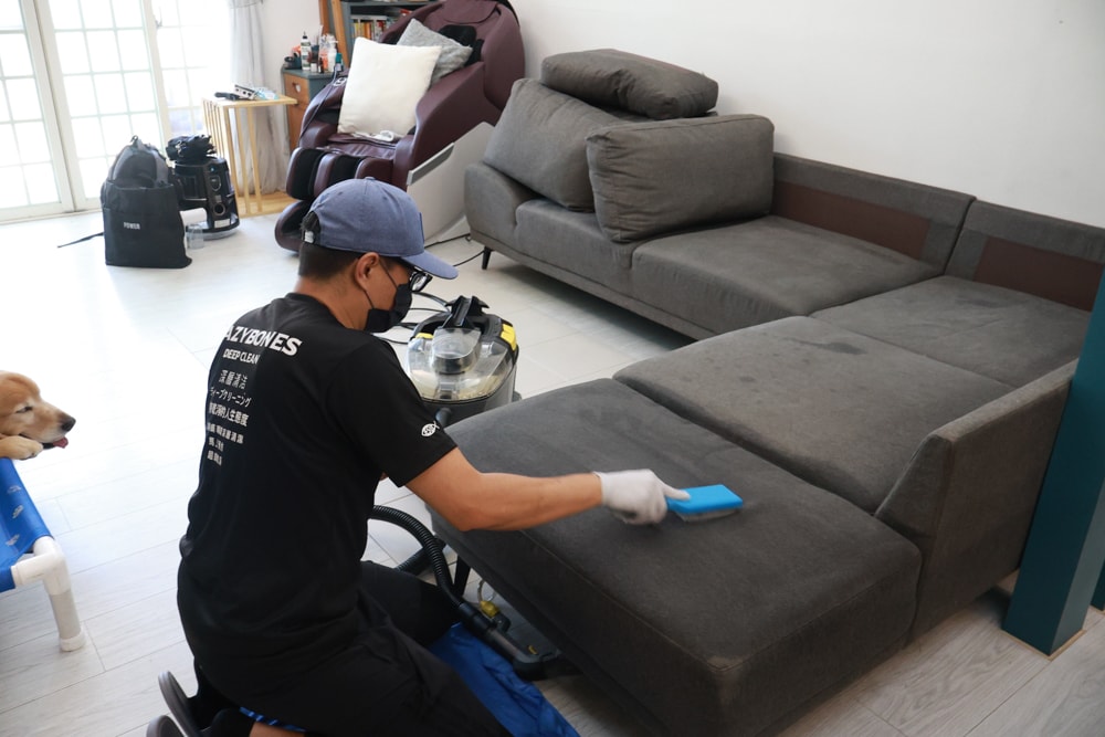 懶人除蟎 沙發・床墊・地毯清洗專家｜孩子過敏、狗狗掉毛，選擇懶人除蟎！床墊沙發地毯全清一次搞定！