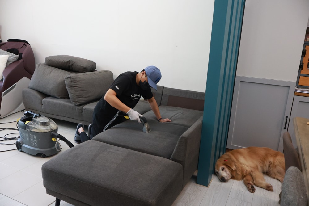 懶人除蟎 沙發・床墊・地毯清洗專家｜孩子過敏、狗狗掉毛，選擇懶人除蟎！床墊沙發地毯全清一次搞定！
