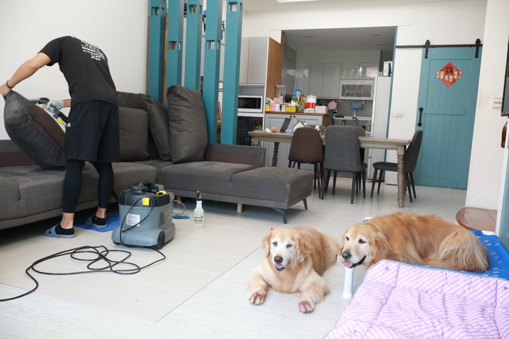 懶人除蟎 沙發・床墊・地毯清洗專家｜孩子過敏、狗狗掉毛，選擇懶人除蟎！床墊沙發地毯全清一次搞定！