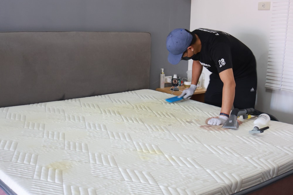 懶人除蟎 沙發・床墊・地毯清洗專家｜孩子過敏、狗狗掉毛，選擇懶人除蟎！床墊沙發地毯全清一次搞定！