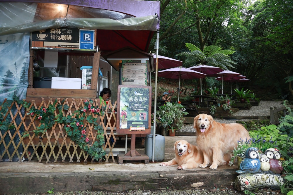 蟬說:暖硫|台北陽明山懶人露營一泊三食。火山溫泉、草山冰茶野餐、森林帳篷、夜間風呂、台北寵物友善住宿 - 第52張圖 蟬說:暖硫|台北陽明山懶人露營一泊三食。火山溫泉、草山冰茶野餐、森林帳篷、夜間風呂、台北寵物友善住宿