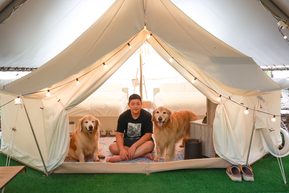 蟬說:暖硫|台北陽明山懶人露營一泊三食。火山溫泉、草山冰茶野餐、森林帳篷、夜間風呂、台北寵物友善住宿 - 第19張圖 蟬說:暖硫|台北陽明山懶人露營一泊三食。火山溫泉、草山冰茶野餐、森林帳篷、夜間風呂、台北寵物友善住宿