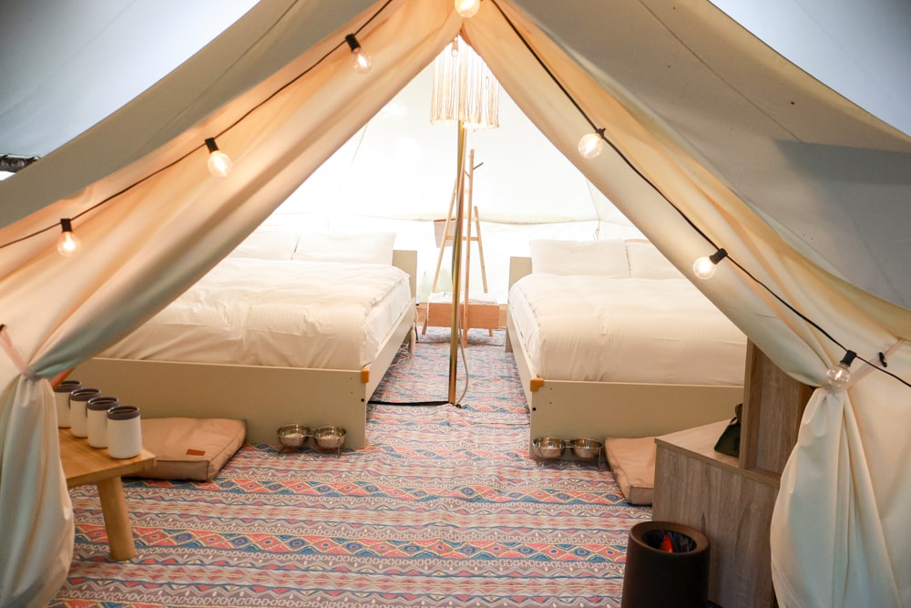 蟬說:暖硫|台北陽明山懶人露營一泊三食。火山溫泉、草山冰茶野餐、森林帳篷、夜間風呂、台北寵物友善住宿 - 第16張圖 蟬說:暖硫|台北陽明山懶人露營一泊三食。火山溫泉、草山冰茶野餐、森林帳篷、夜間風呂、台北寵物友善住宿