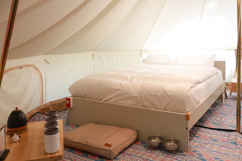 蟬說:暖硫|台北陽明山懶人露營一泊三食。火山溫泉、草山冰茶野餐、森林帳篷、夜間風呂、台北寵物友善住宿 - 第17張圖 蟬說:暖硫|台北陽明山懶人露營一泊三食。火山溫泉、草山冰茶野餐、森林帳篷、夜間風呂、台北寵物友善住宿