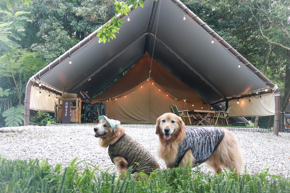 蟬說:暖硫|台北陽明山懶人露營一泊三食。火山溫泉、草山冰茶野餐、森林帳篷、夜間風呂、台北寵物友善住宿 - 第13張圖 蟬說:暖硫|台北陽明山懶人露營一泊三食。火山溫泉、草山冰茶野餐、森林帳篷、夜間風呂、台北寵物友善住宿