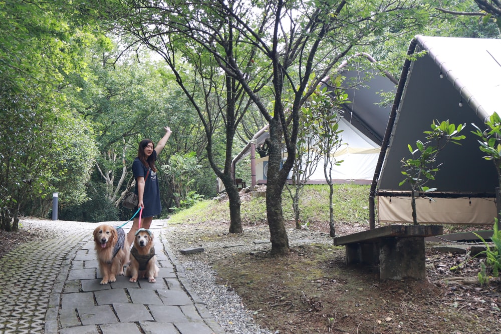 蟬說：暖硫｜台北陽明山懶人露營一泊三食。火山溫泉、草山冰茶野餐、森林帳篷、夜間風呂、台北寵物友善住宿