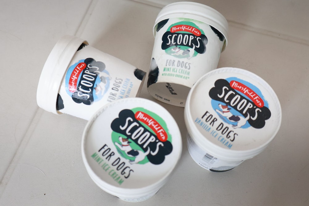 狗狗專屬冰淇淋｜SCOOP’S史酷啵狗狗寵物專用狗狗冰淇淋。英國農場直送，敏感毛孩也可以安心吃！