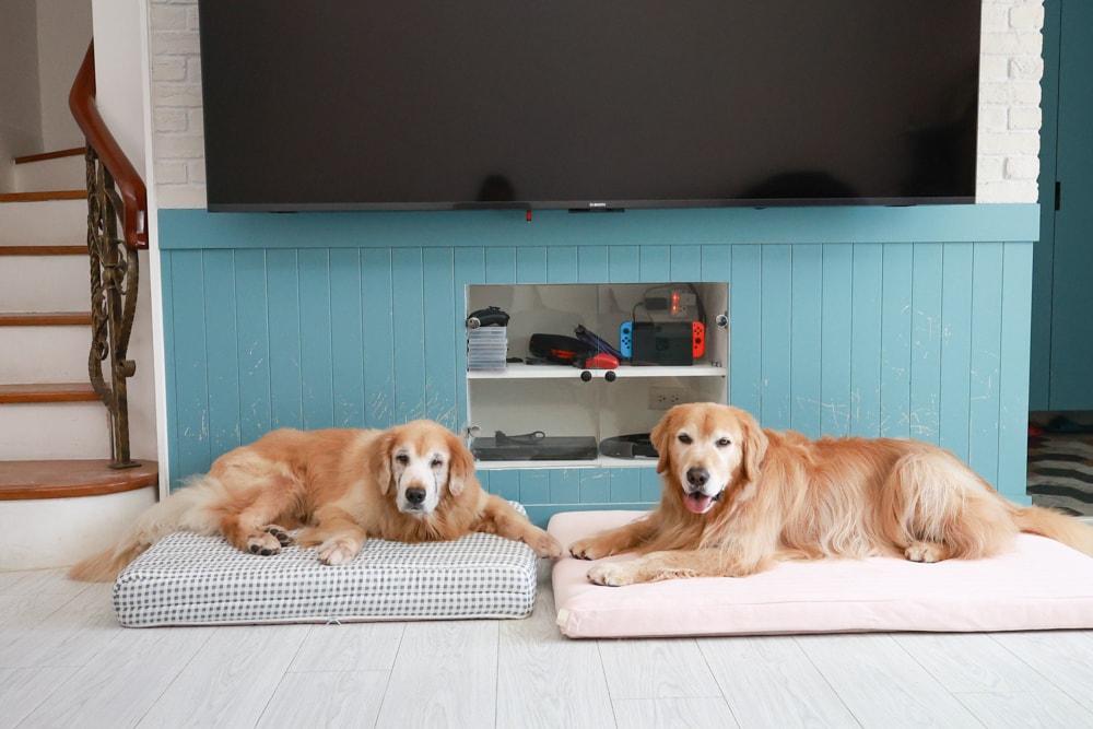 寵物床墊｜mooayou韓國狗狗護脊床。透氣、低敏、耐抓、毛孩專屬好眠神器。沁涼夏日款 & 四季耐抓款