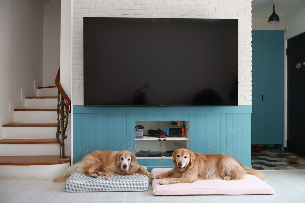 寵物床墊｜mooayou韓國狗狗護脊床。透氣、低敏、耐抓、毛孩專屬好眠神器。沁涼夏日款 & 四季耐抓款