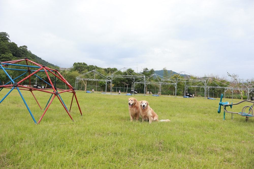 宜蘭冬山皇家熊露營地|寵物友善露營車、六大主題露營車、免搭帳輕鬆入住,草地星空一次擁有 - 第2張圖 宜蘭冬山皇家熊露營地|寵物友善露營車、六大主題露營車、免搭帳輕鬆入住,草地星空一次擁有