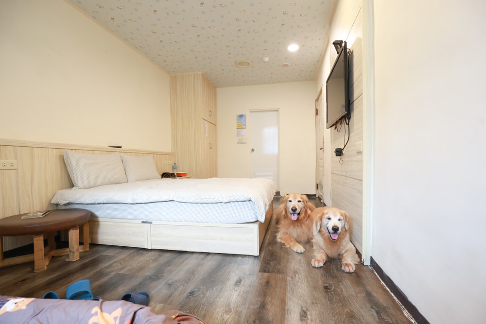 宜蘭寵物友善溫泉住宿|礁溪美洲溫泉商旅。溫泉源頭第一泉!寵物友善、24小時湯屋免費使用、CP值爆表! - 第17張圖 宜蘭寵物友善溫泉住宿|礁溪美洲溫泉商旅。溫泉源頭第一泉!寵物友善、24小時湯屋免費使用、CP值爆表!