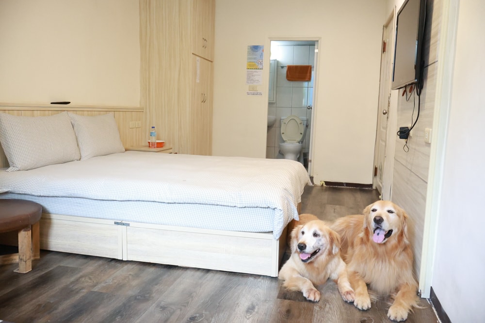 宜蘭寵物友善溫泉住宿|礁溪美洲溫泉商旅。溫泉源頭第一泉!寵物友善、24小時湯屋免費使用、CP值爆表! - 第15張圖 宜蘭寵物友善溫泉住宿|礁溪美洲溫泉商旅。溫泉源頭第一泉!寵物友善、24小時湯屋免費使用、CP值爆表!
