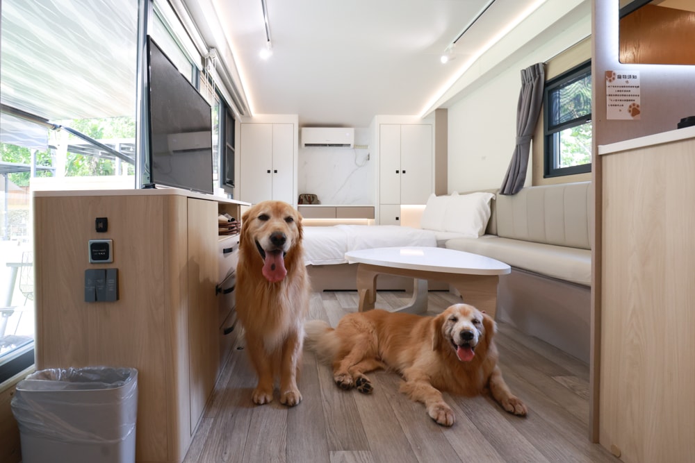 日月潭最Chill的寵物友善住宿｜陌野露營車驛站、寵物友善露營車、免搭帳豪華露營、南投寵物友善住宿