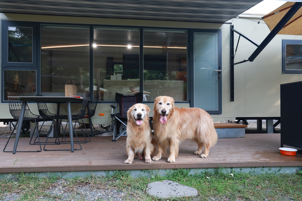 日月潭最Chill的寵物友善住宿｜陌野露營車驛站、寵物友善露營車、免搭帳豪華露營、南投寵物友善住宿