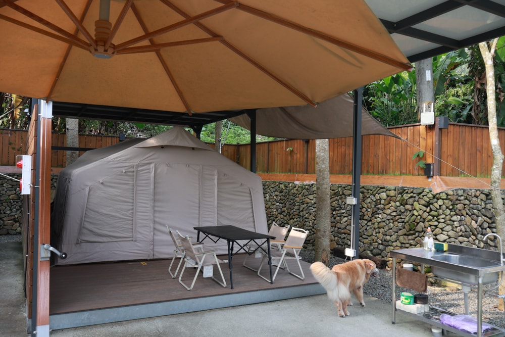 日月潭最Chill的寵物友善住宿｜陌野露營車驛站、寵物友善露營車、免搭帳豪華露營、南投寵物友善住宿