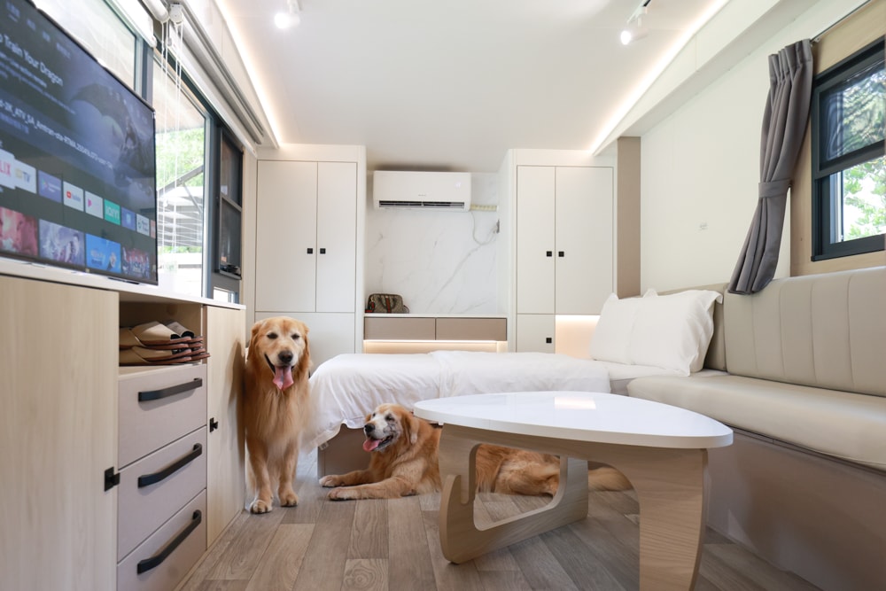 日月潭最Chill的寵物友善住宿｜陌野露營車驛站、寵物友善露營車、免搭帳豪華露營、南投寵物友善住宿